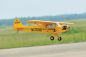 Preview: Black Horse Piper J3 Cub / 1950mm