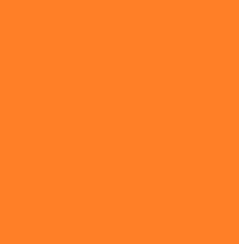 EC Farbe Orange 400ml